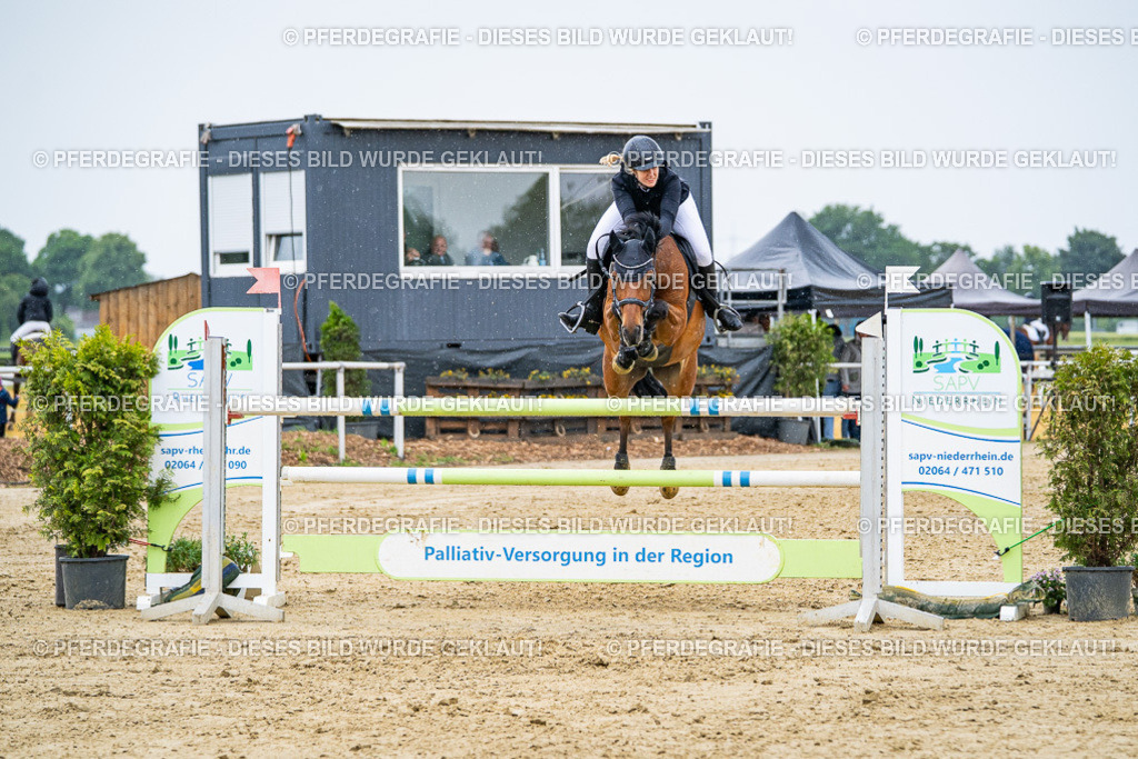 DSC08579 | Pferdegrafie