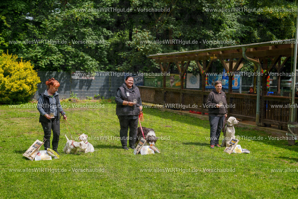 @allesWIRTHgut_Tierfotografie - www.allesWIRTHgut.de - 7R504029 | Professionelle Tierfotografie in Mönchengladbach von Daniel Wirth (allesWIRTHgut). Liebevolle & natürliche Bilder von Hunden & Katzen für unvergessliche Erinnerungen.