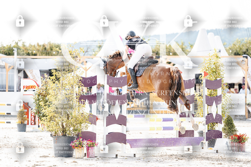 CK905695 | Turnierfotografie Pferdefotografie Trier Rheinland-Pfalz Pferdesport Reitsport Tierfotografie Sportfotografie Pferdevideo Pferdevideografie Equestrianvideography equestrianphotography  - Realisiert mit Pictrs.com