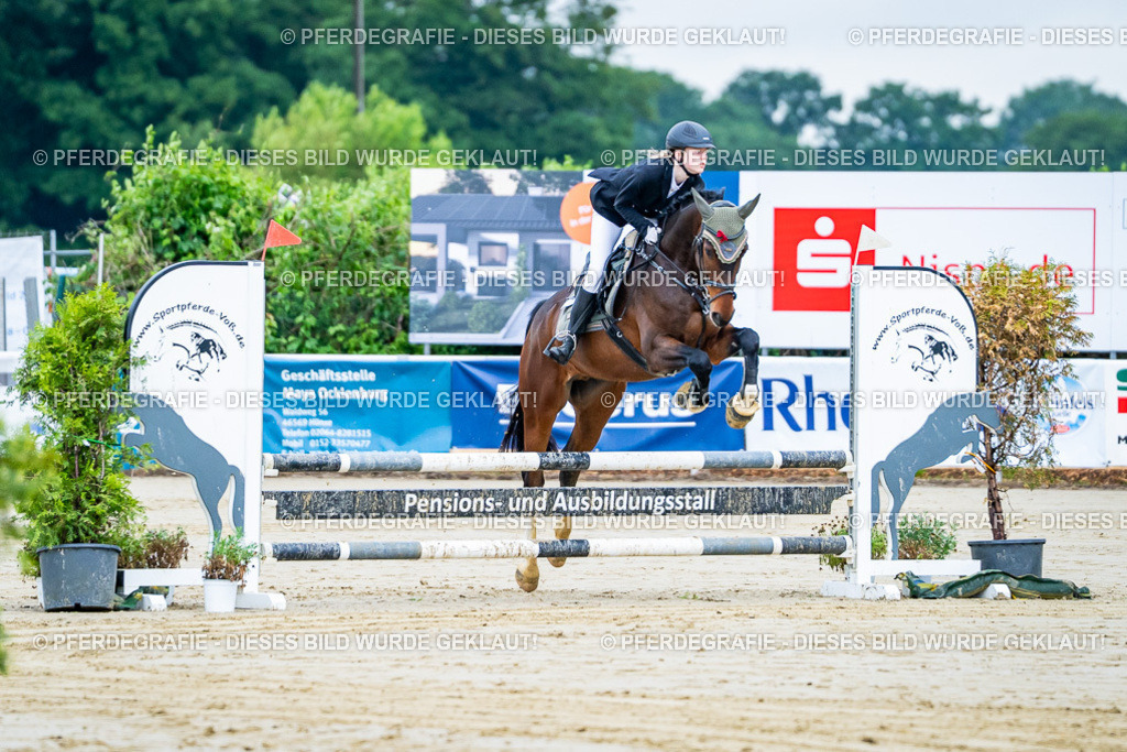 DSC01026 | Pferdegrafie