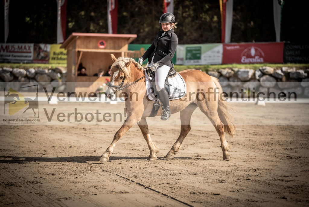 DSC_8619 | equestrian-live-com