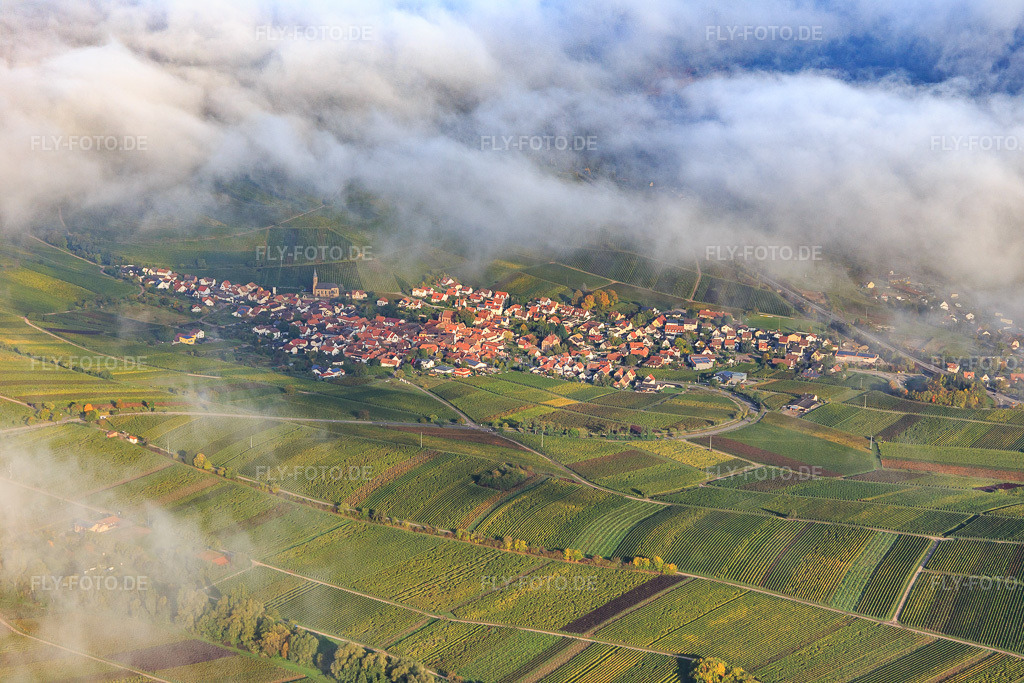 Luftbild: Winzerdorfansicht unter Wolken in Birkweiler im Bundesland Rheinland-Pfalz in Deutschland. Foto: IMG_103741.jpg vom 01.10.2017 durch Werner Riehm/FLY-FOTO.de