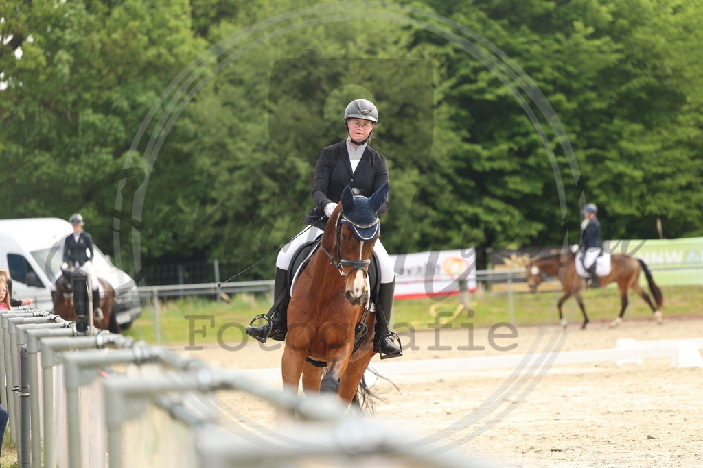 994A6274 | sabrinanicolaifotografie - Realisiert mit Pictrs.com