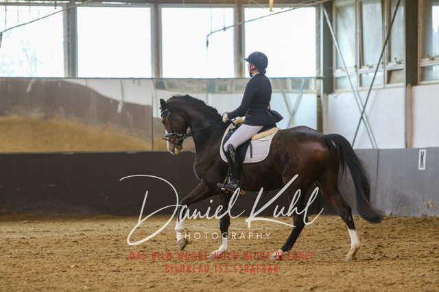 IMG_7374 | Turniersportfotografie; Pferdefotografie; Dressurfotografie