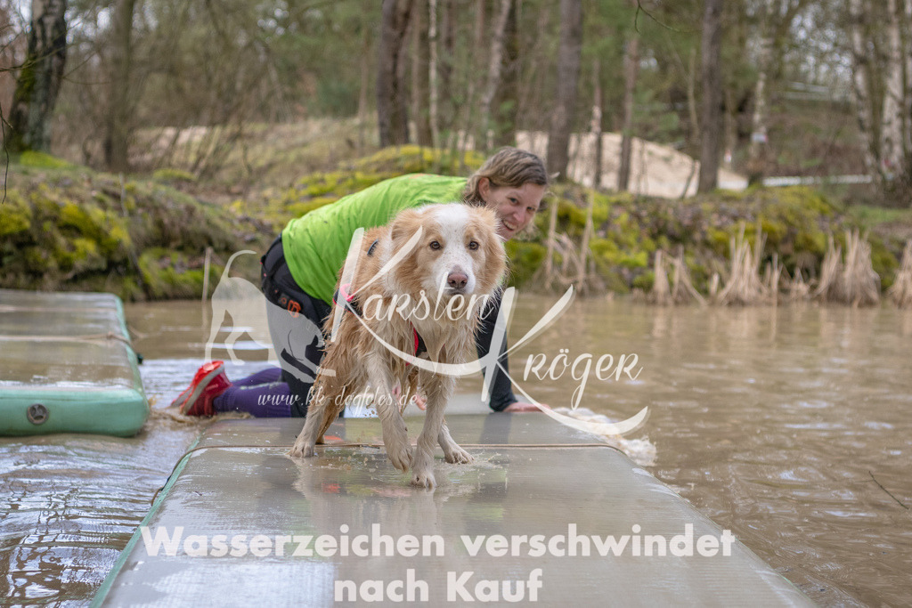 0956_ZZ91823 | kk-dogfotos