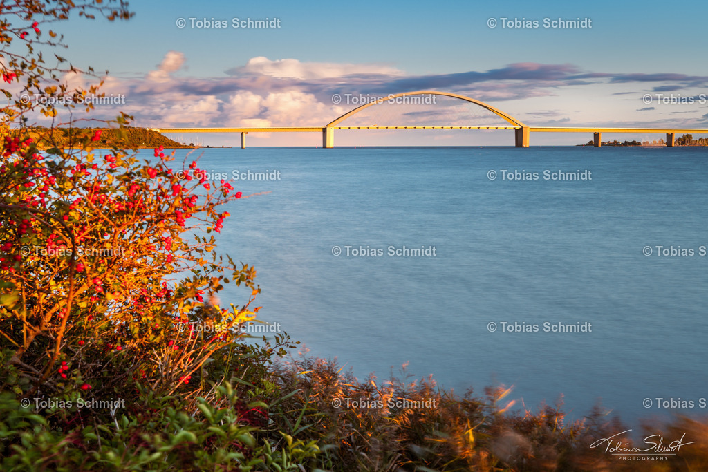 Fehmarn__DSC7062 | Fotoprodukte, Kalender und Wanddeko direkt vom Fotografen auf Fehmarn. Ob Wandbild auf Alu-Dibond, hinter Acrylglas oder auf Leinwand – hier können Sie Ihr Lieblingsbild kaufen. - Realisiert mit Pictrs.com