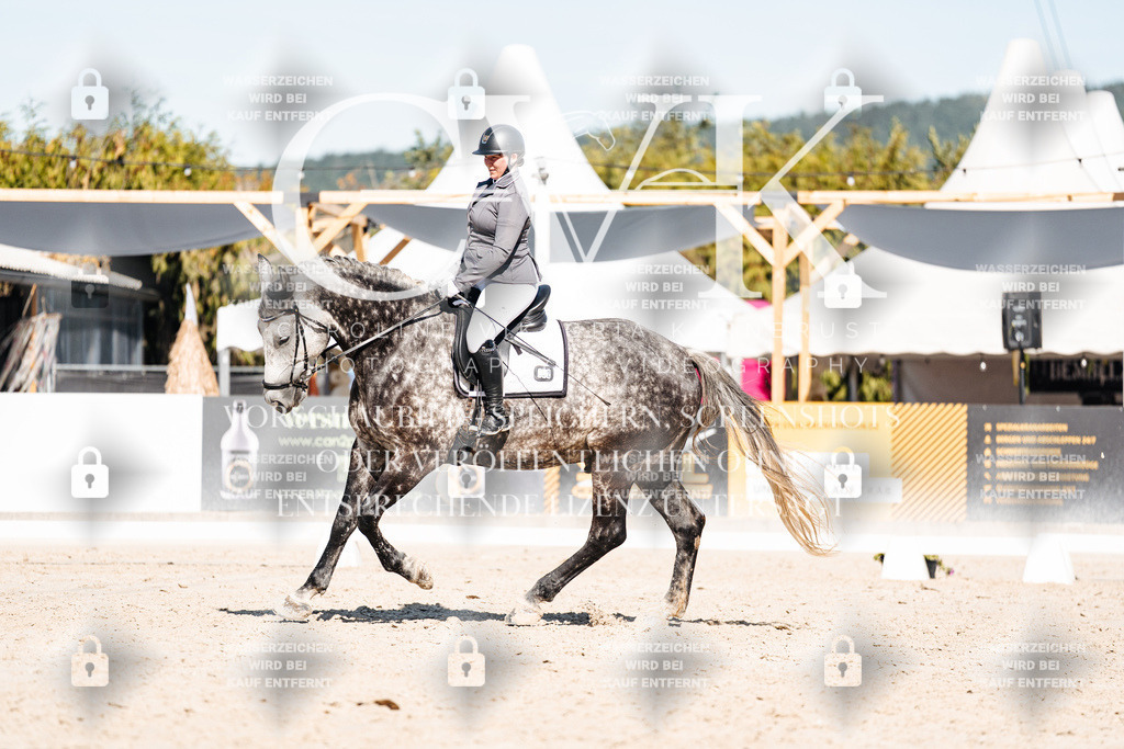 CK908297 | Turnierfotografie Pferdefotografie Trier Rheinland-Pfalz Pferdesport Reitsport Tierfotografie Sportfotografie Pferdevideo Pferdevideografie Equestrianvideography equestrianphotography  - Realisiert mit Pictrs.com