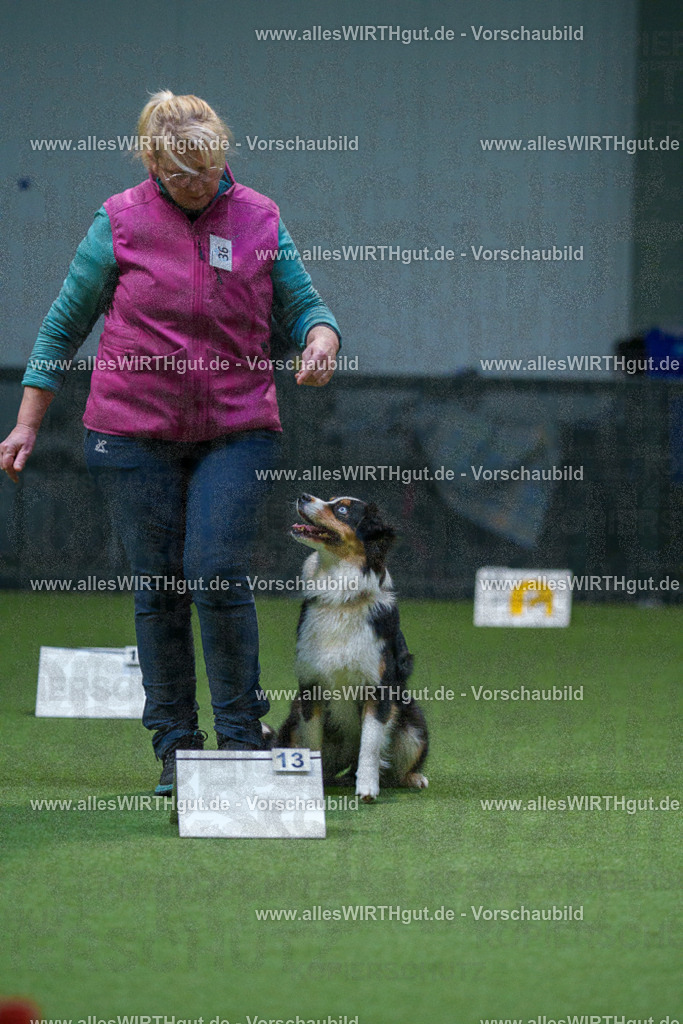 7R501097 | Professionelle Tierfotografie in Mönchengladbach von Daniel Wirth (allesWIRTHgut). Liebevolle & natürliche Bilder von Hunden & Katzen für unvergessliche Erinnerungen.