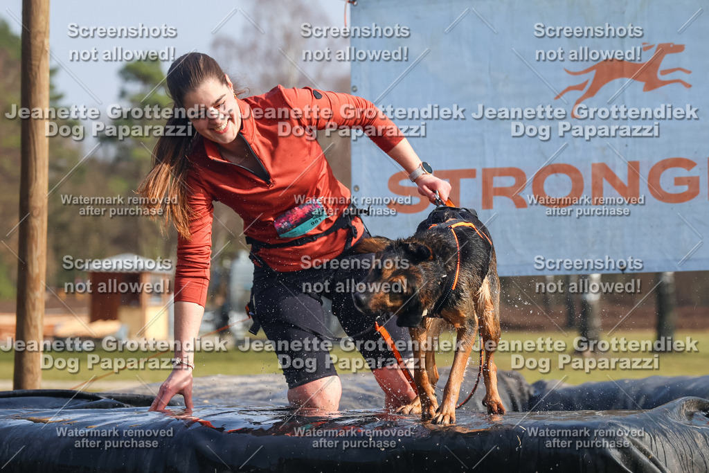 Dog Paparazzi - Strongdog North Mrz26-1961 | Dog Paparazzi Jeanette Grottendiek Fotografie & Videografie - Realisiert mit Pictrs.com