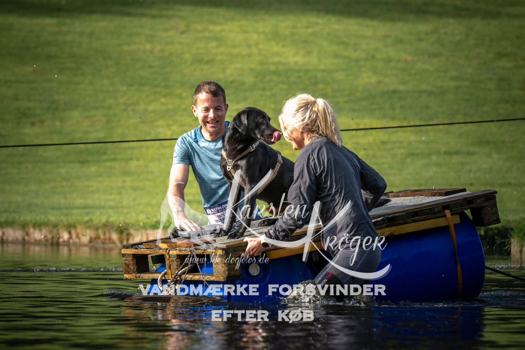 _ZZ939320710 | kk-dogfotos