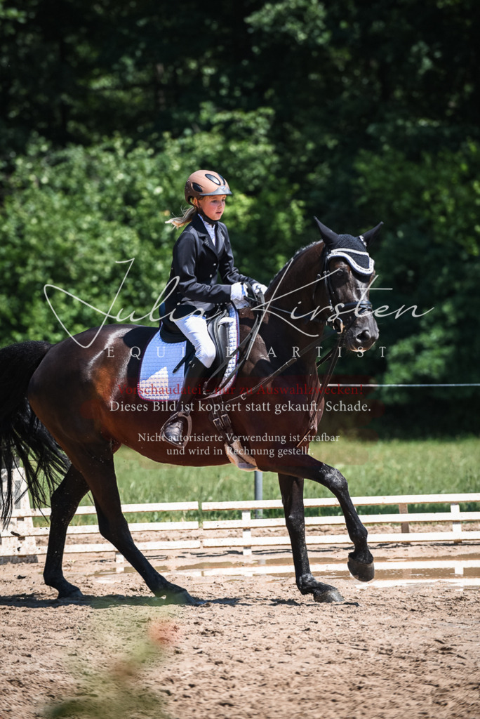 DSC_2810 | Pferde- und Turnierfotografie in Westsachsen. Pferdeportraits, Auftragszeichnungen und intuitive Kunst.