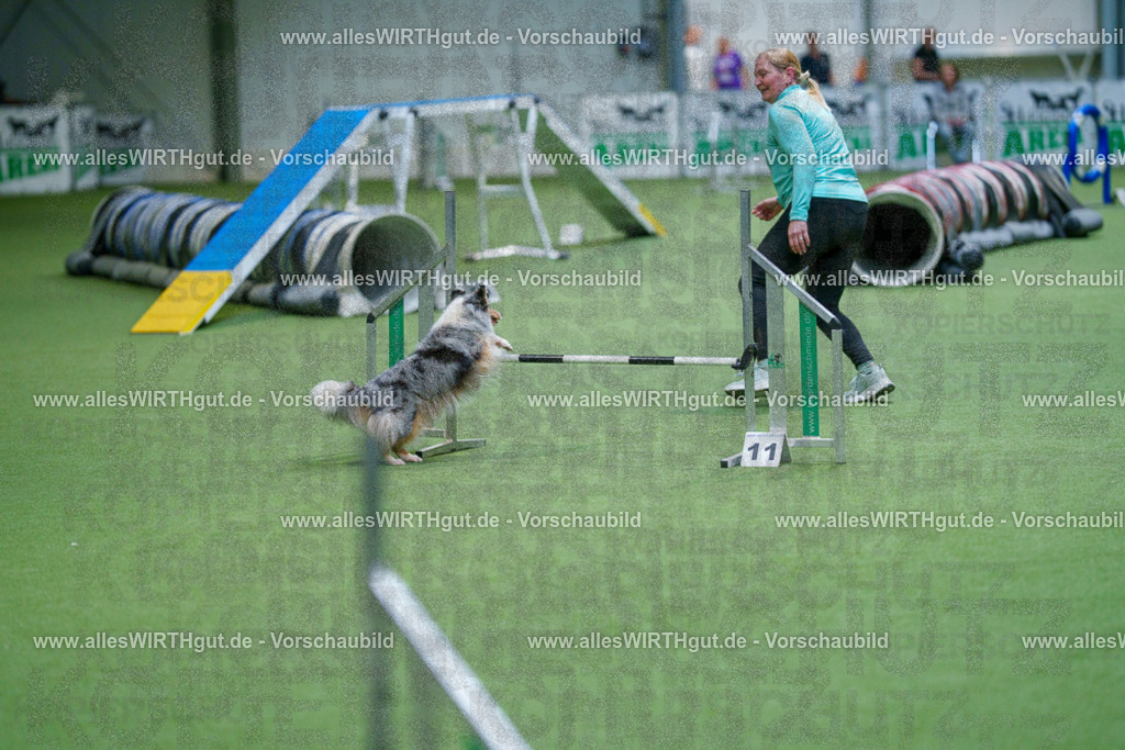 @allesWIRTHgut_Tierfotografie - www.allesWIRTHgut.de - 2604250845-7R507648 | Professionelle Tierfotografie in Mönchengladbach von Daniel Wirth (allesWIRTHgut). Liebevolle & natürliche Bilder von Hunden & Katzen für unvergessliche Erinnerungen.