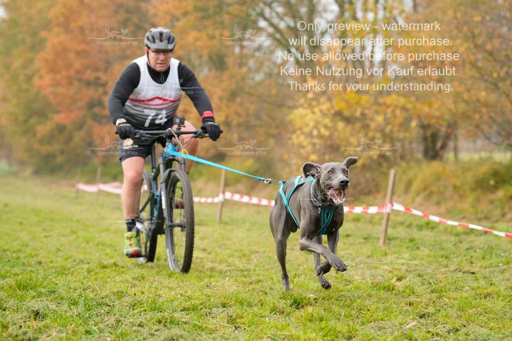 Visbeck_Sa_Bike-210 | stephaniefillaphotographie - Realisiert mit Pictrs.com