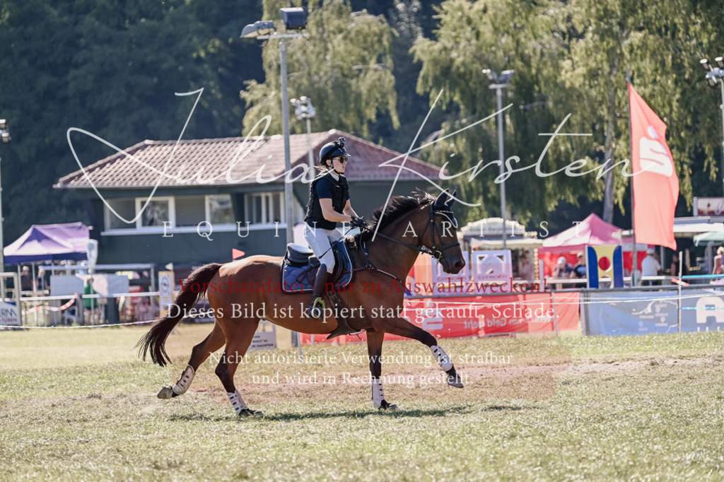 DSC_3363 | Pferde- und Turnierfotografie in Westsachsen. Pferdeportraits, Auftragszeichnungen und intuitive Kunst.