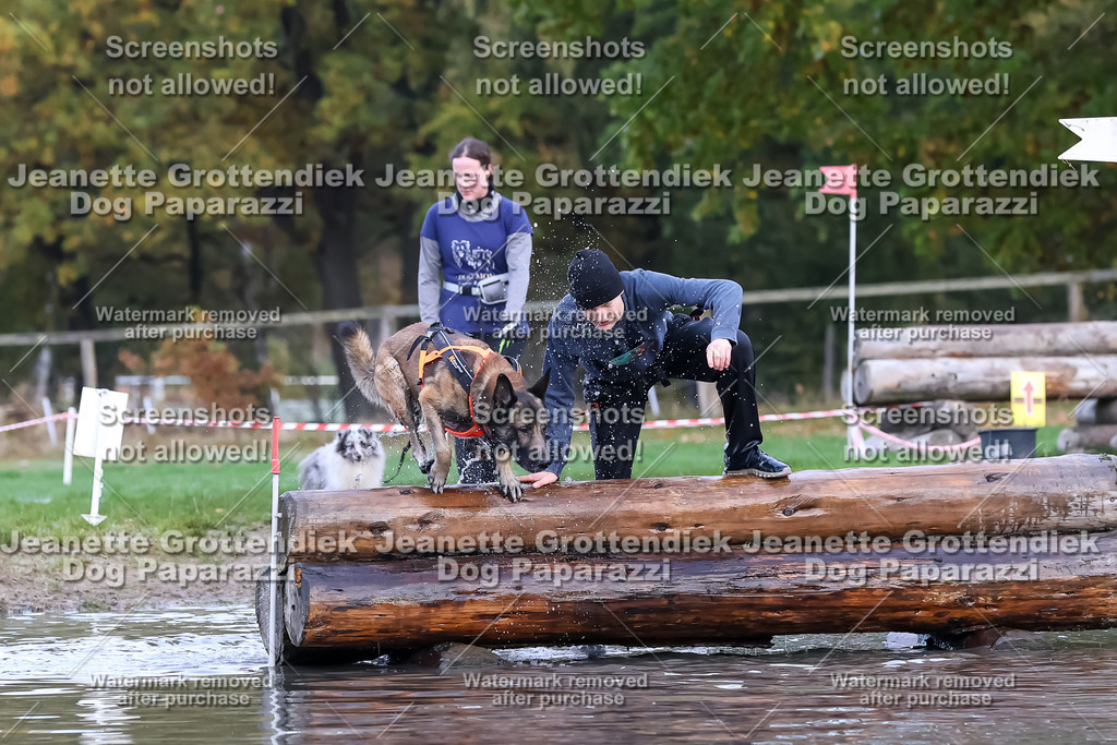 Dog Paparazzi - Strongdog 10-25-6597 | Dog Paparazzi Jeanette Grottendiek Fotografie & Videografie - Realisiert mit Pictrs.com