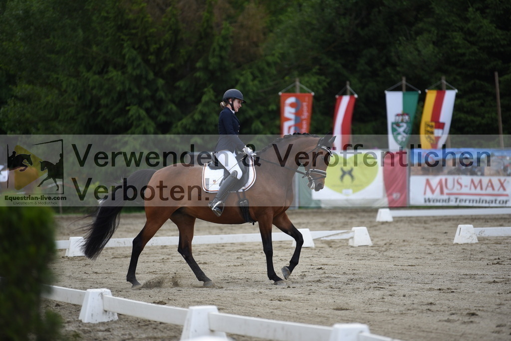 DSC_6268 | equestrian-live-com