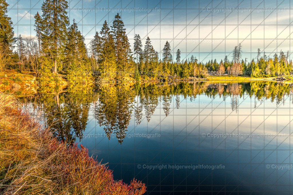 Oderteich | Kaufen sie online außergewöhnliche Fotografien auf Leinwand Acrylglas Fotoprint Aludibond von holgerweigeltfotografie - Realisiert mit Pictrs.com