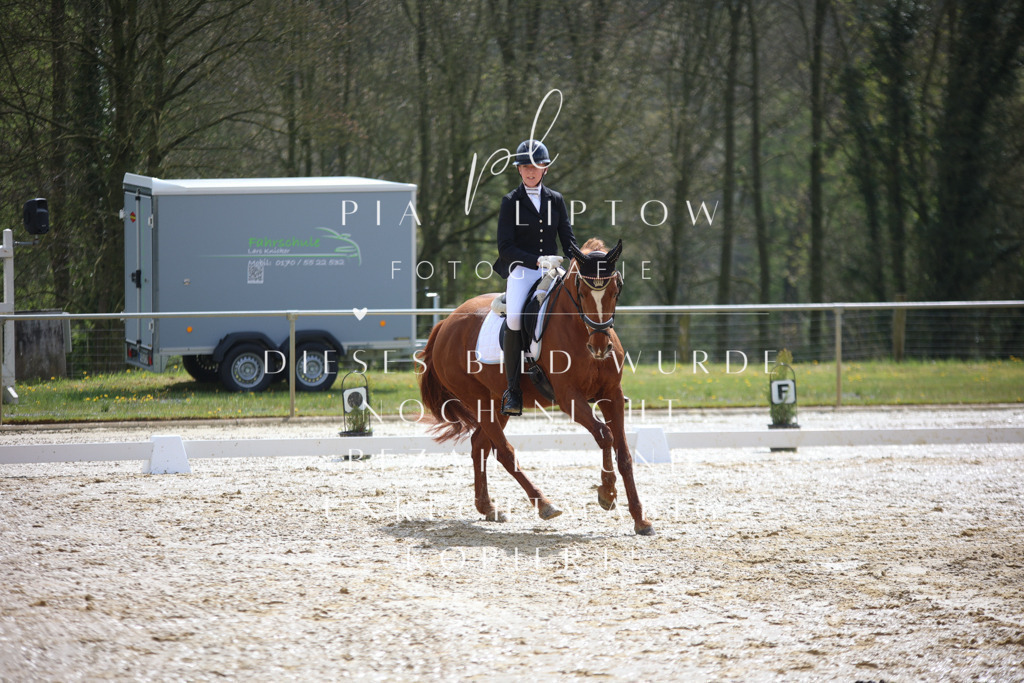 IMGT2470 | pl-fotografie