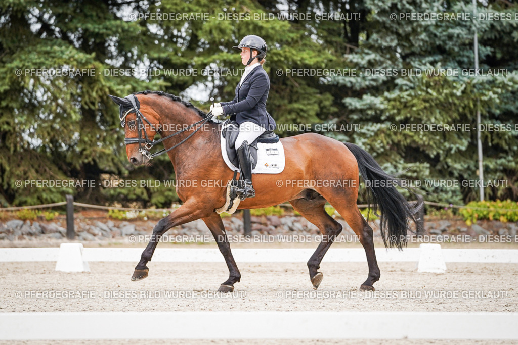 DSC08222 | Pferdegrafie