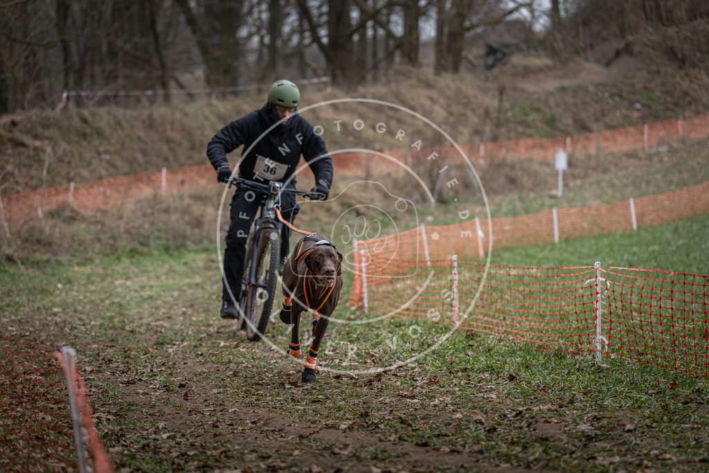 Pfotenfotografie_DV3A9719 | Hundefotografie, Tierfotograf, Pfotenfotografie, Fotoshooting Hund, Hunde Portrait, Hundesport, Hundeportraits, Heideshooting, Hunde, Sportfotograf, Hundefotograf, Turnierhundsport, THS,  - Realisiert mit Pictrs.com