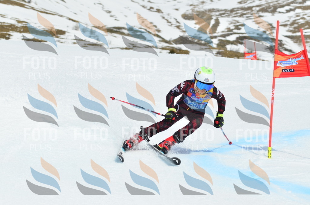 _ELE2120 | holidayphoto