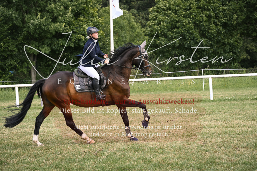 DSC_0550 | Pferde- und Turnierfotografie in Westsachsen. Pferdeportraits, Auftragszeichnungen und intuitive Kunst.