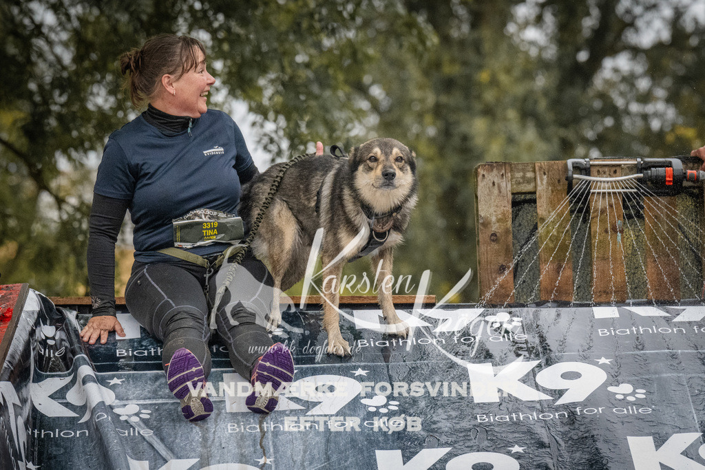 1104_ZZ91605 | kk-dogfotos