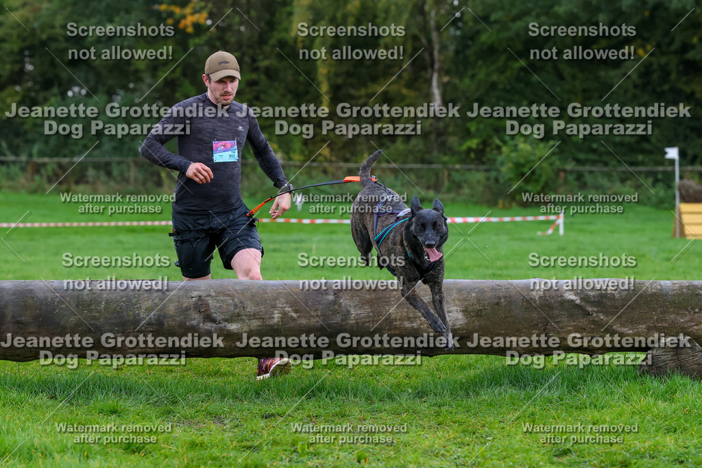 Dog Paparazzi -  SD1026-1988 | Dog Paparazzi Jeanette Grottendiek Fotografie & Videografie - Realisiert mit Pictrs.com