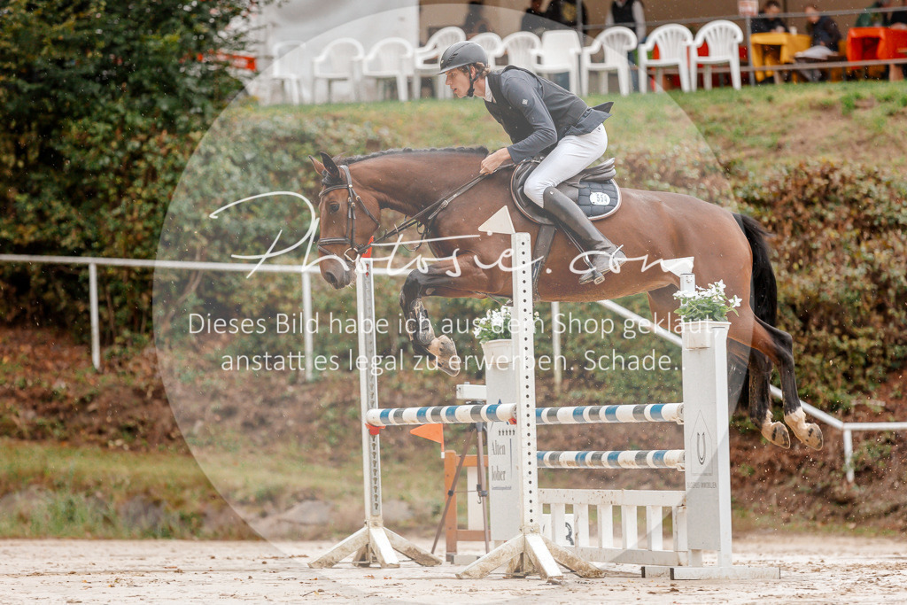 3I6A5646 | Stimmungsvolle Portraits und Reitsportfotografie im Ruhrgebiet und im Münsterland.

Pferdefotografie, Hundefotografie, Tierfotografie, Reportagen, Portraits von Tier und Mensch, Turnierfotografie in Bochum, Recklinghausen, Marl, Haltern am See, Dülmen.. - Realisiert mit Pictrs.com
