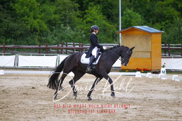 DKP46612 | Turniersportfotografie; Pferdefotografie; Dressurfotografie