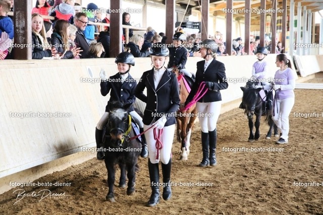 JugendTrophy.II0331 | Fotografie, Tiere, Hunde, Katzen, Pferde, Sportfotografie, Fotosession, Tierfotografie, Turnierfotografie, Fotografin, Fotograf - Realisiert mit Pictrs.com