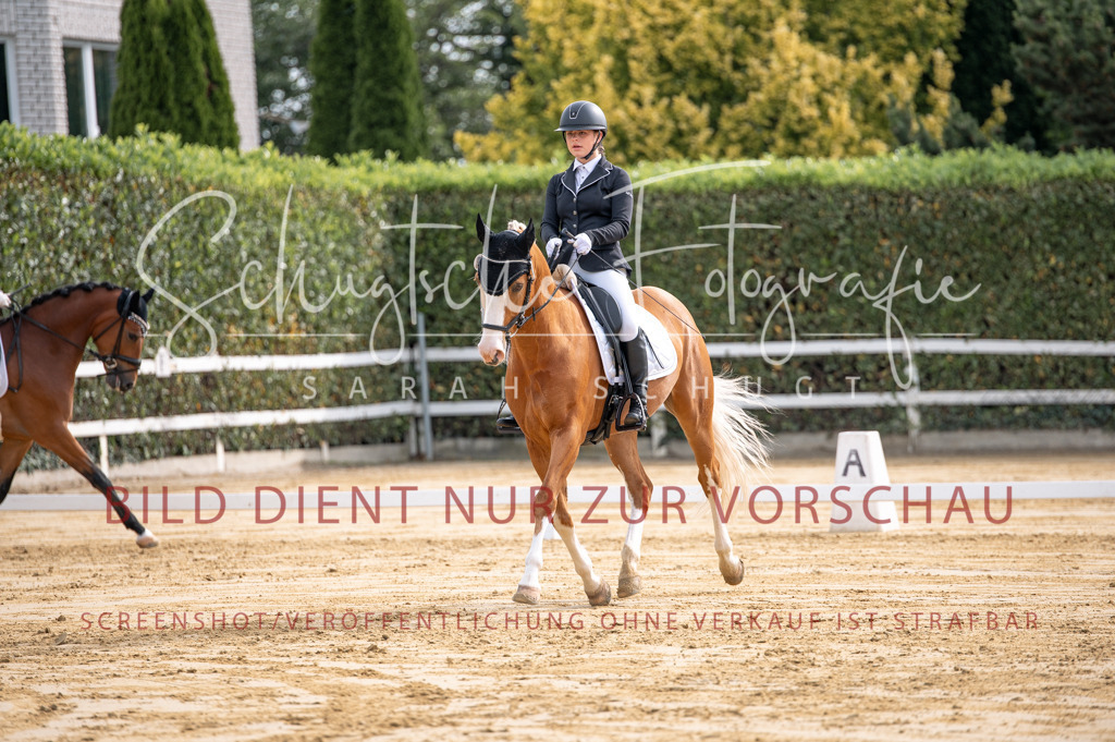 Schugtsche-Aluta25-40.DressurprfA_-130 | Schugtsche Fotografie - Realisiert mit Pictrs.com