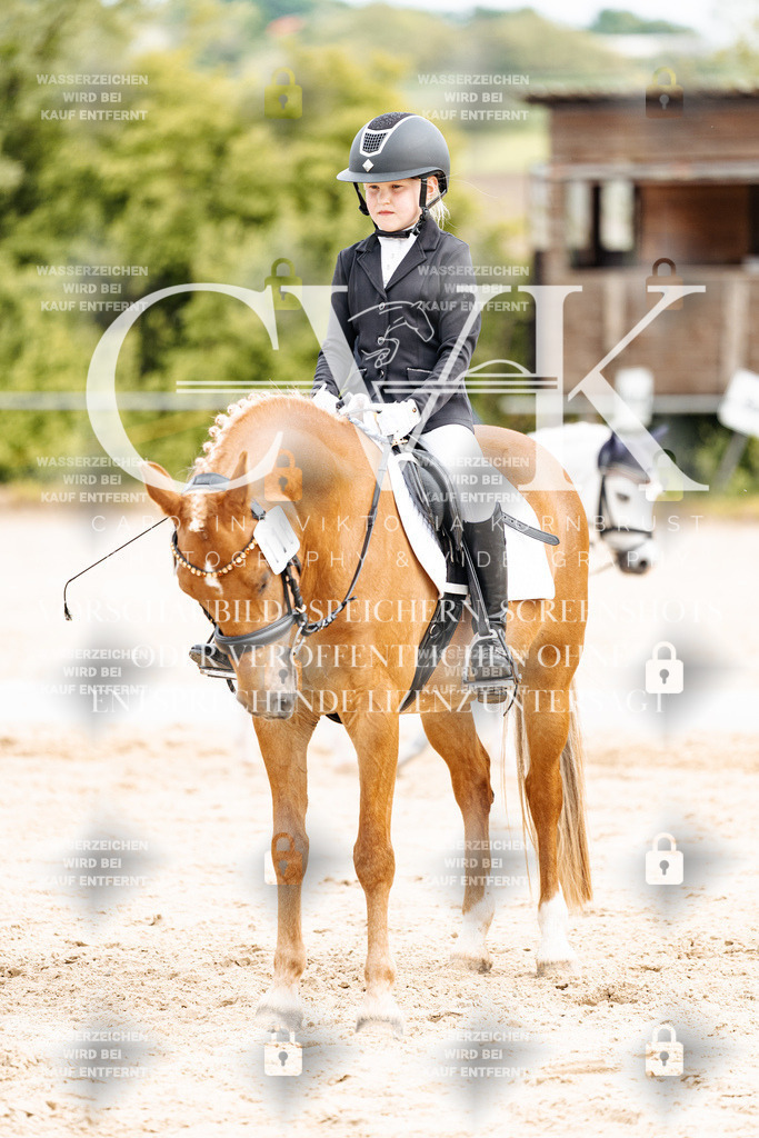 CK904711 | Turnierfotografie Pferdefotografie Trier Rheinland-Pfalz Pferdesport Reitsport Tierfotografie Sportfotografie Pferdevideo Pferdevideografie Equestrianvideography equestrianphotography  - Realisiert mit Pictrs.com