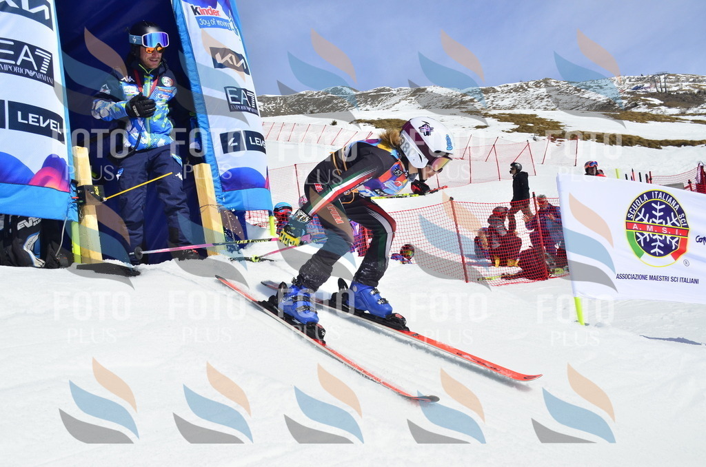 _ELE1157 | holidayphoto