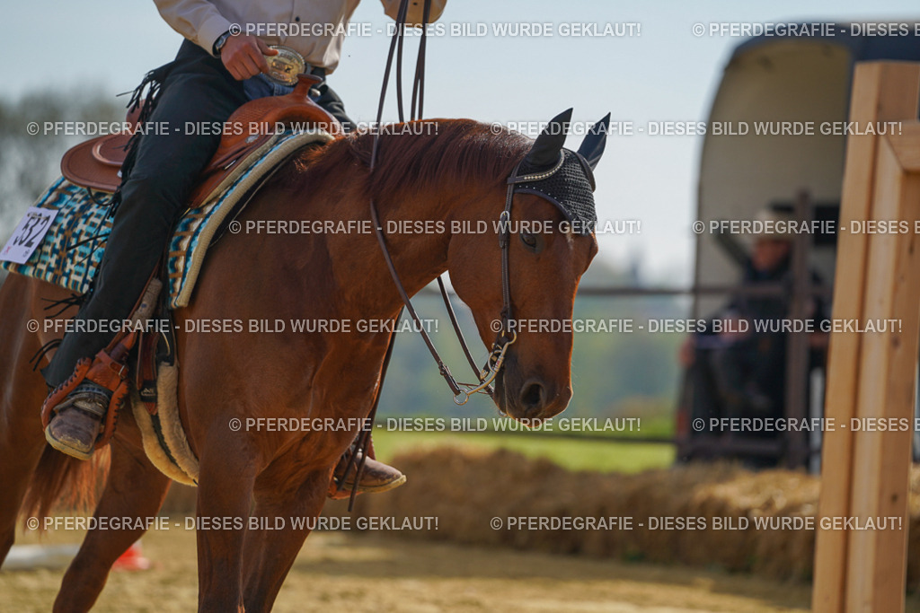 DSC01485 | Pferdegrafie