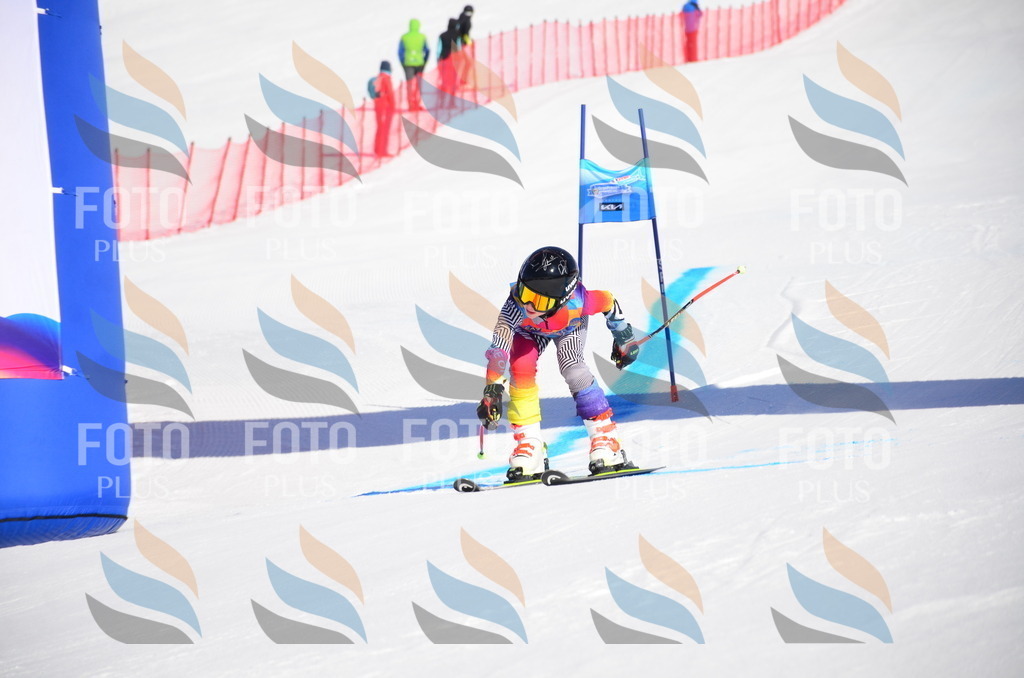 VR4_8624 | holidayphoto