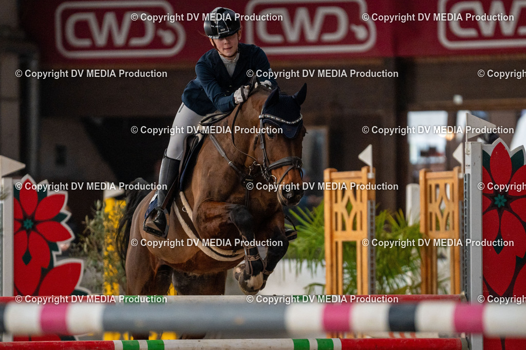 Kranichstein Tag 1-021 | dv-media-shop - Realisiert mit Pictrs.com