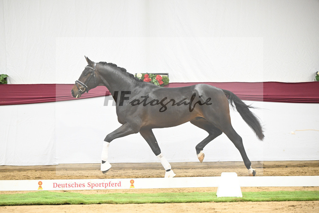 Kat-Nr. 114 Escaneno x Dr. Jackson D_Drews Reutalmuehle eGbR_47253637 | hf-fotografie - Realisiert mit Pictrs.com