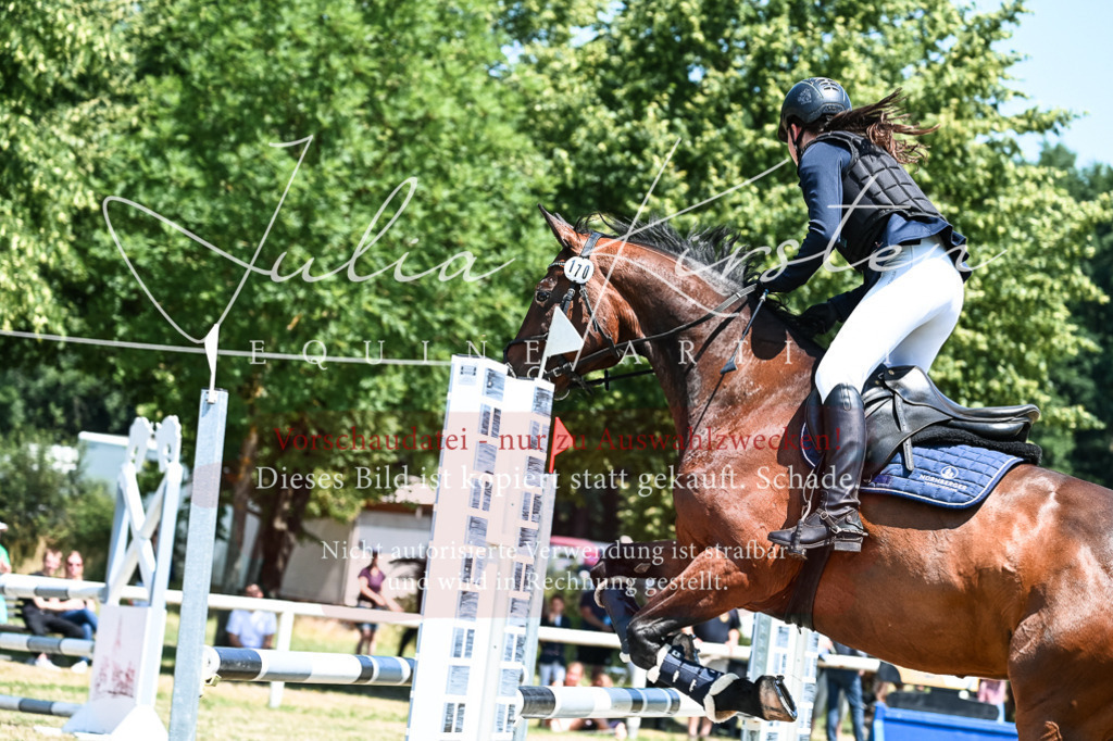 DSC_9964 | Pferde- und Turnierfotografie in Westsachsen. Pferdeportraits, Auftragszeichnungen und intuitive Kunst.