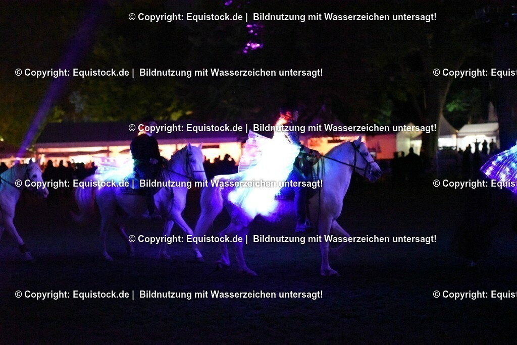 20230526_Pferdenacht_1553 | equistock