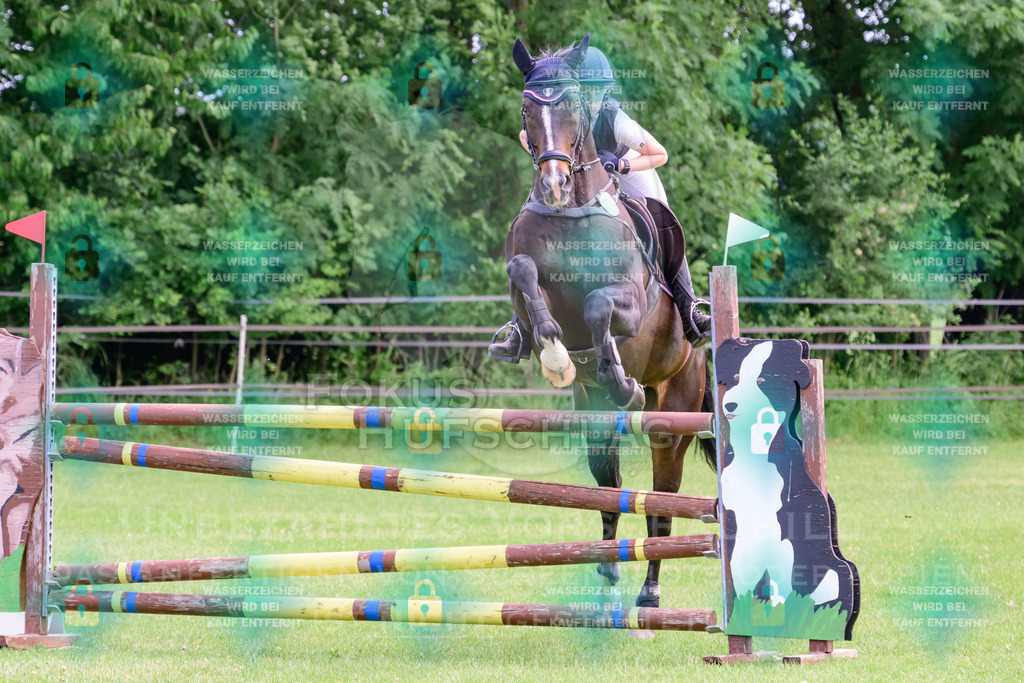 30052026-Forstinning-Prfg23-0235 | Fokus Hufschlag Fotografie - Realisiert mit Pictrs.com