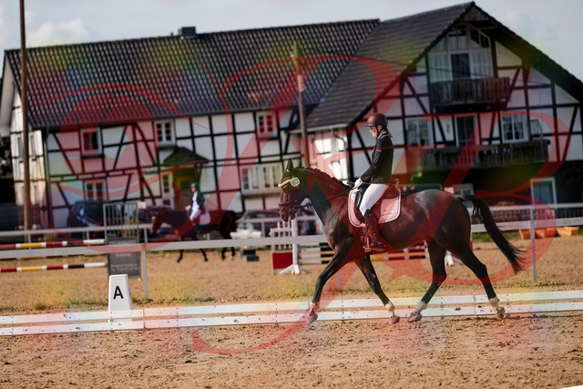 2026_10_03_Siefer-Hof_132125_Z63_82680524 | Professionelle Reitsport-, Turnier- und Eventfotografie von Robert Broda. Galerien mit ausgewählten und bearbeiteten Bildern direkt online ansehen und bestellen.