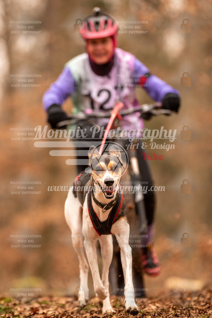AKM_ST_2023_SAM_Bike-171 | PayLife