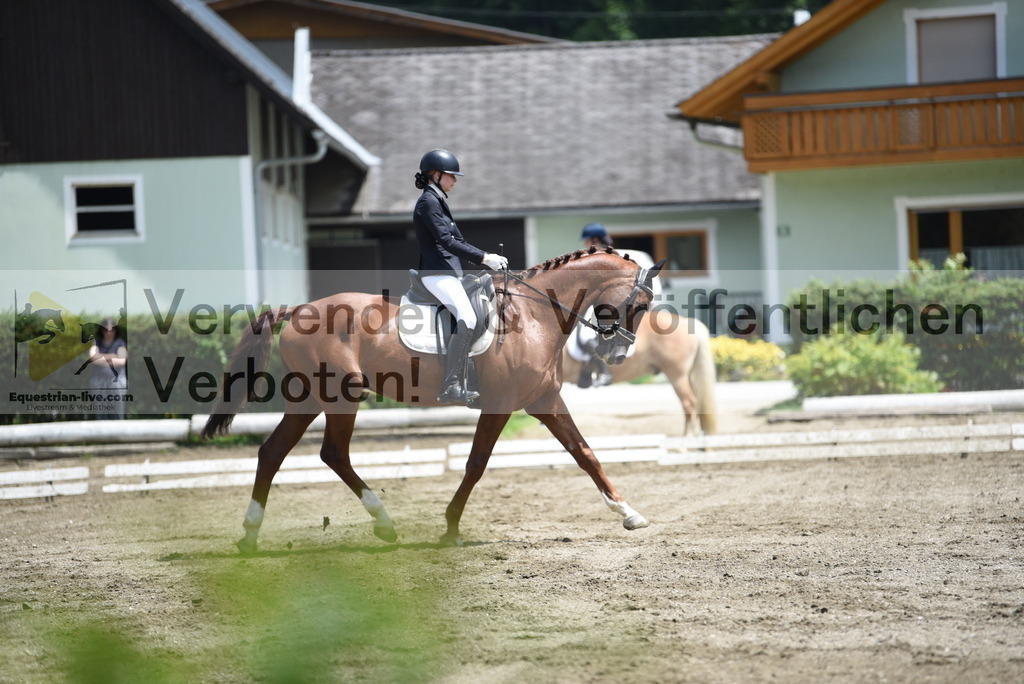 DSC_9508 | equestrian-live-com