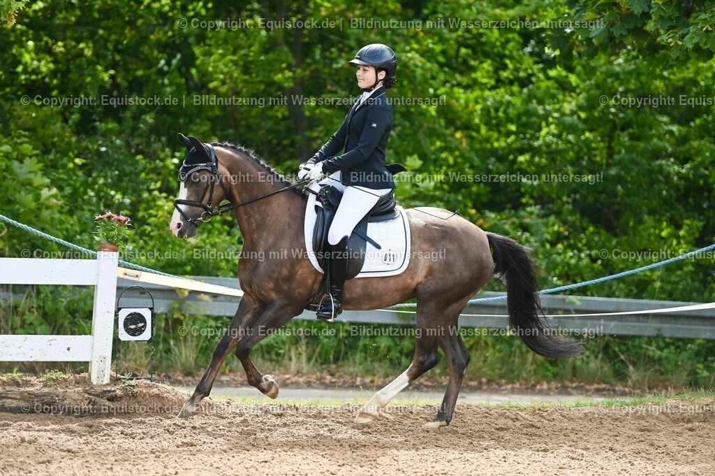 20230716_10-1_Reiter-WB Schritt - Trab - Galopp_0181 | equistock