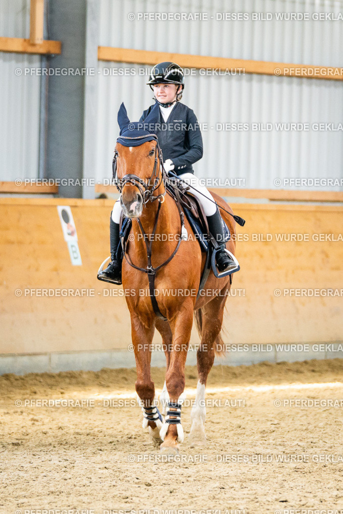 DSC01294 | Pferdegrafie