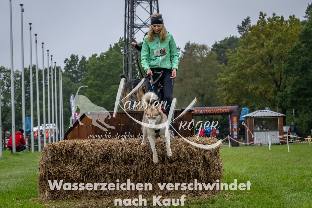 1113-93953 | kk-dogfotos