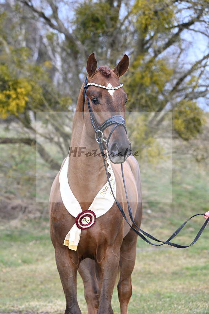 Kat.-Nr. 83 v. Va Bene_Winklmaier_2252285 | hf-fotografie - Realisiert mit Pictrs.com