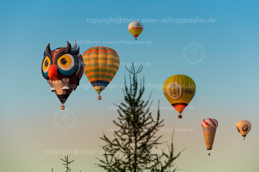 134 Ballons ueber dem Wald 4 | Warsteiner Internationale Montgolfiade ist die Veranstaltung mit Heißluftballons. Verschiedene Ballons fliegen über den Wald. Sonnenuntergang.