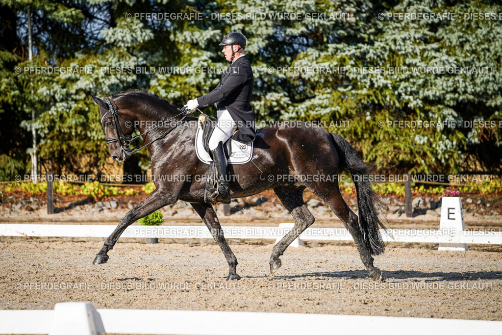 DSC00707 | Pferdegrafie